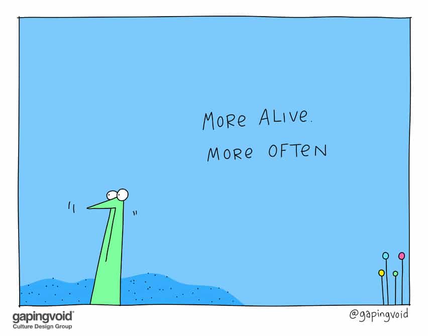 more alive more often