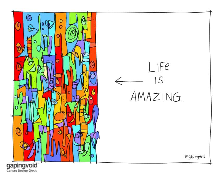 Life is amazing