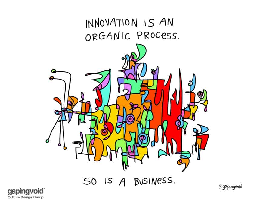 innovation is an organic process