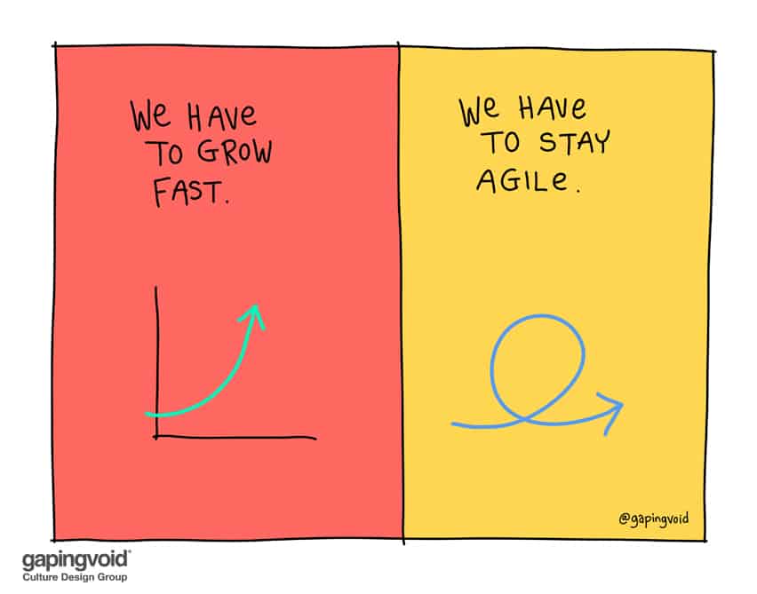 we have to grow fast