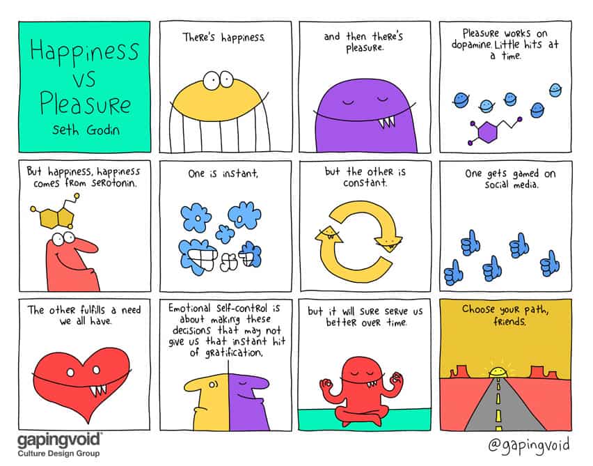 Seth Godin Happiness vs Pleasure