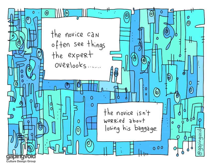 The novice