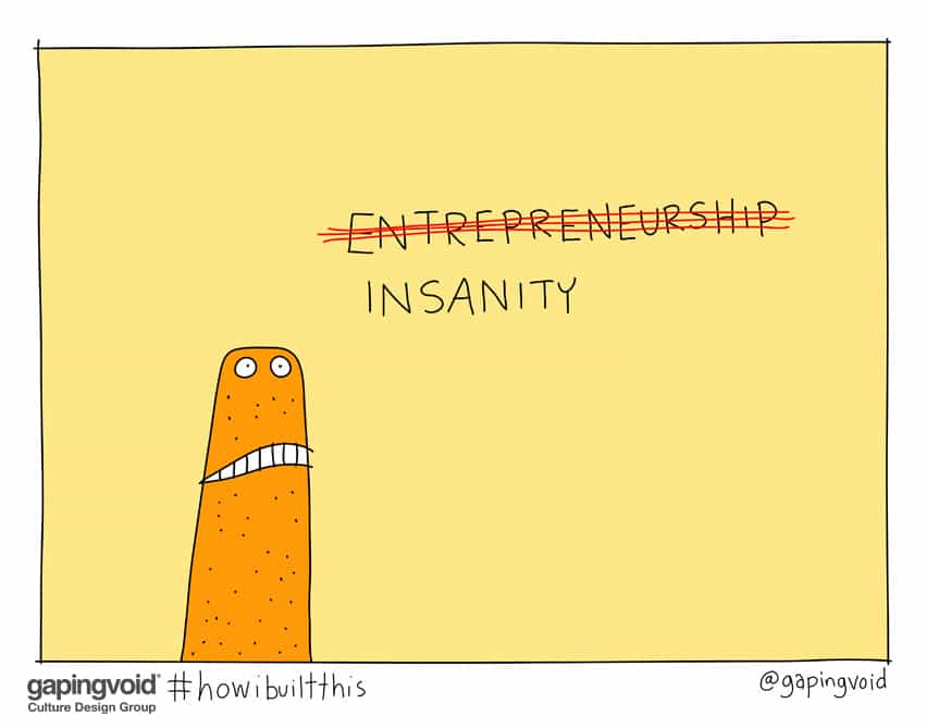 Entrepreneurship insanity