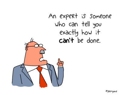 expert-entrepreneur