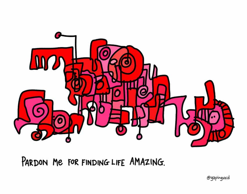 pardon-me-for-finding-life-amazing