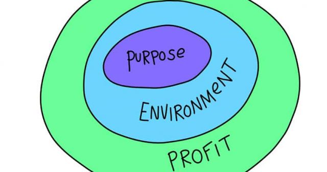 purpose environment profit