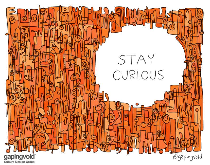 stay curious