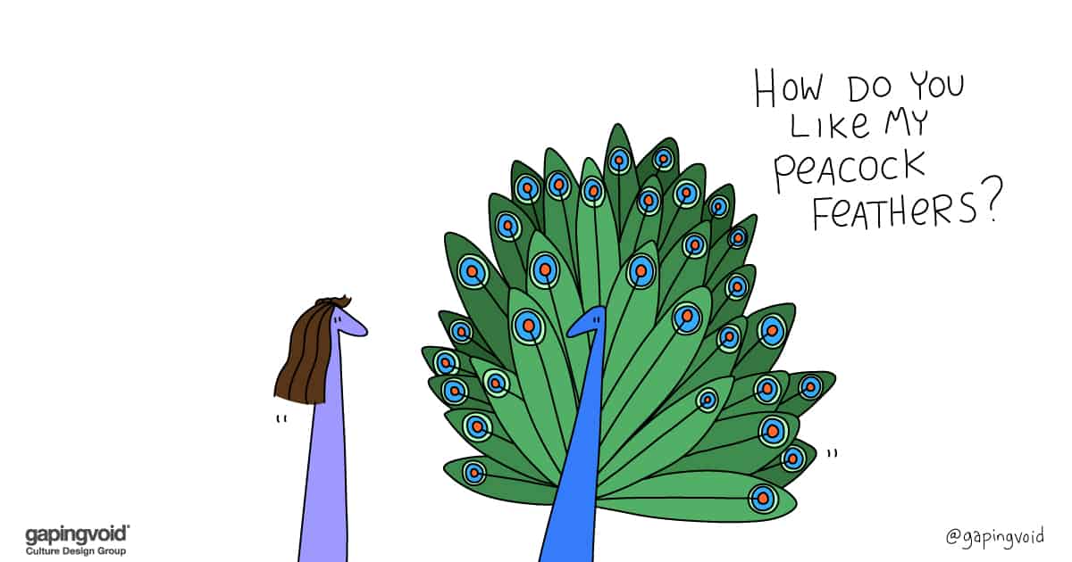 leadership tools;how do you like my peacock feathers