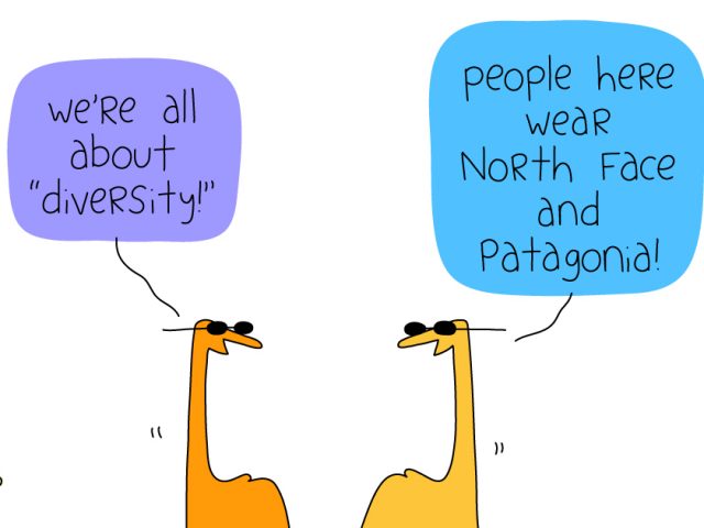 diversity, equity and inclusion;We're all about "diversity!" people here wear North Face and Patagonia!