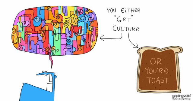 culture study; You either "get" culture or you're toast